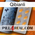 Qibianli 44